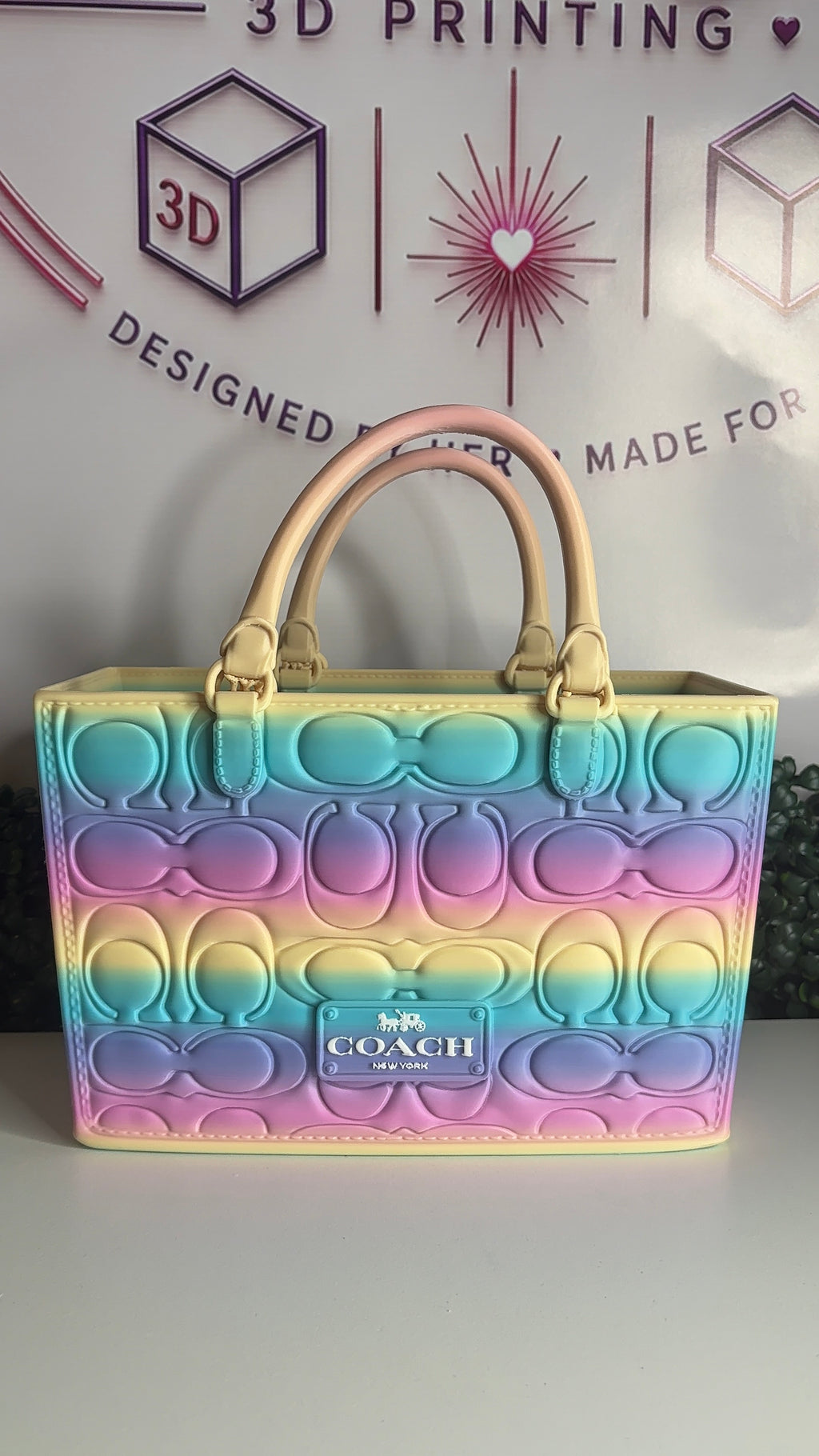 C Inspired Gift Bag