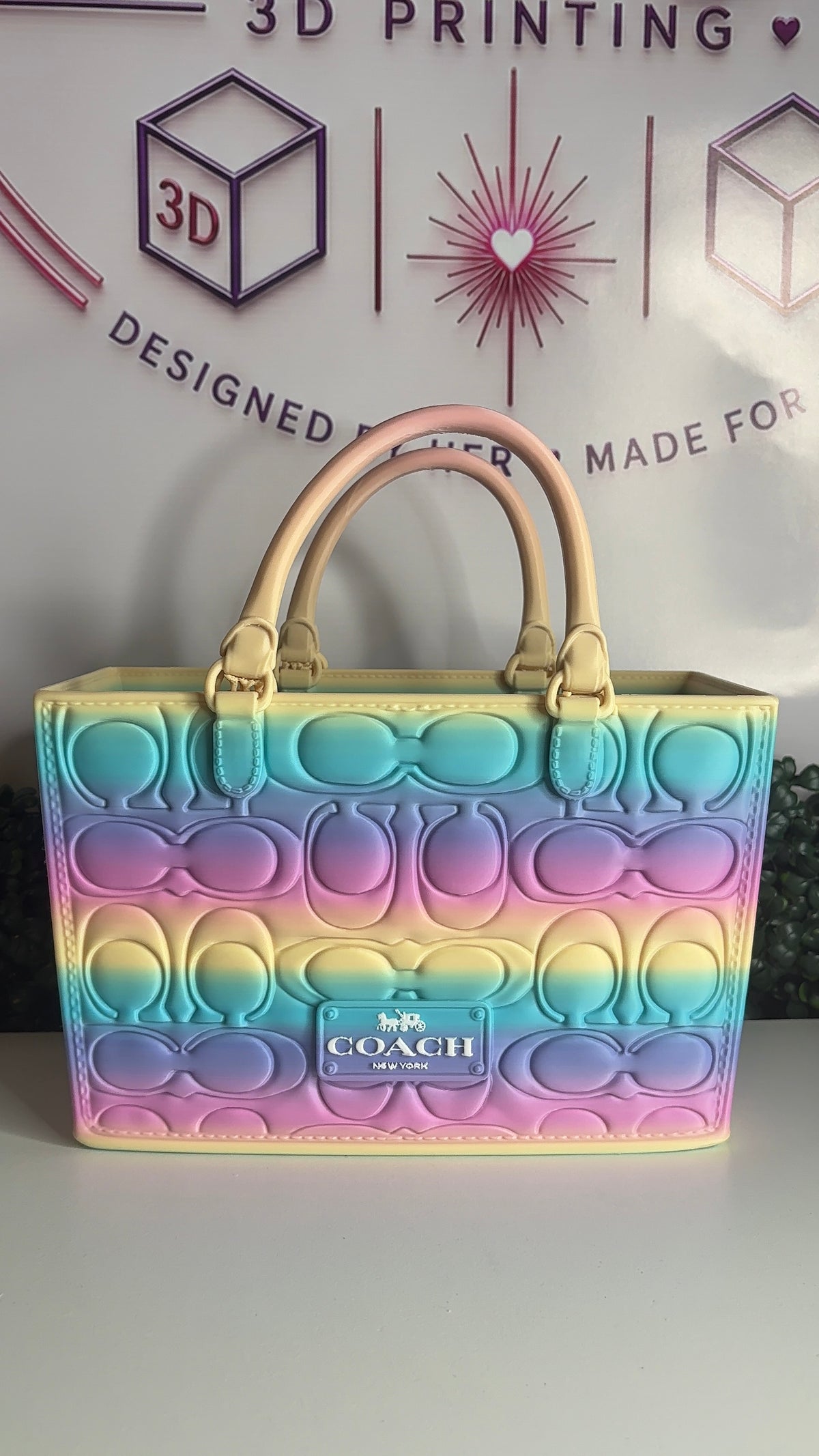 C Inspired Gift Bag