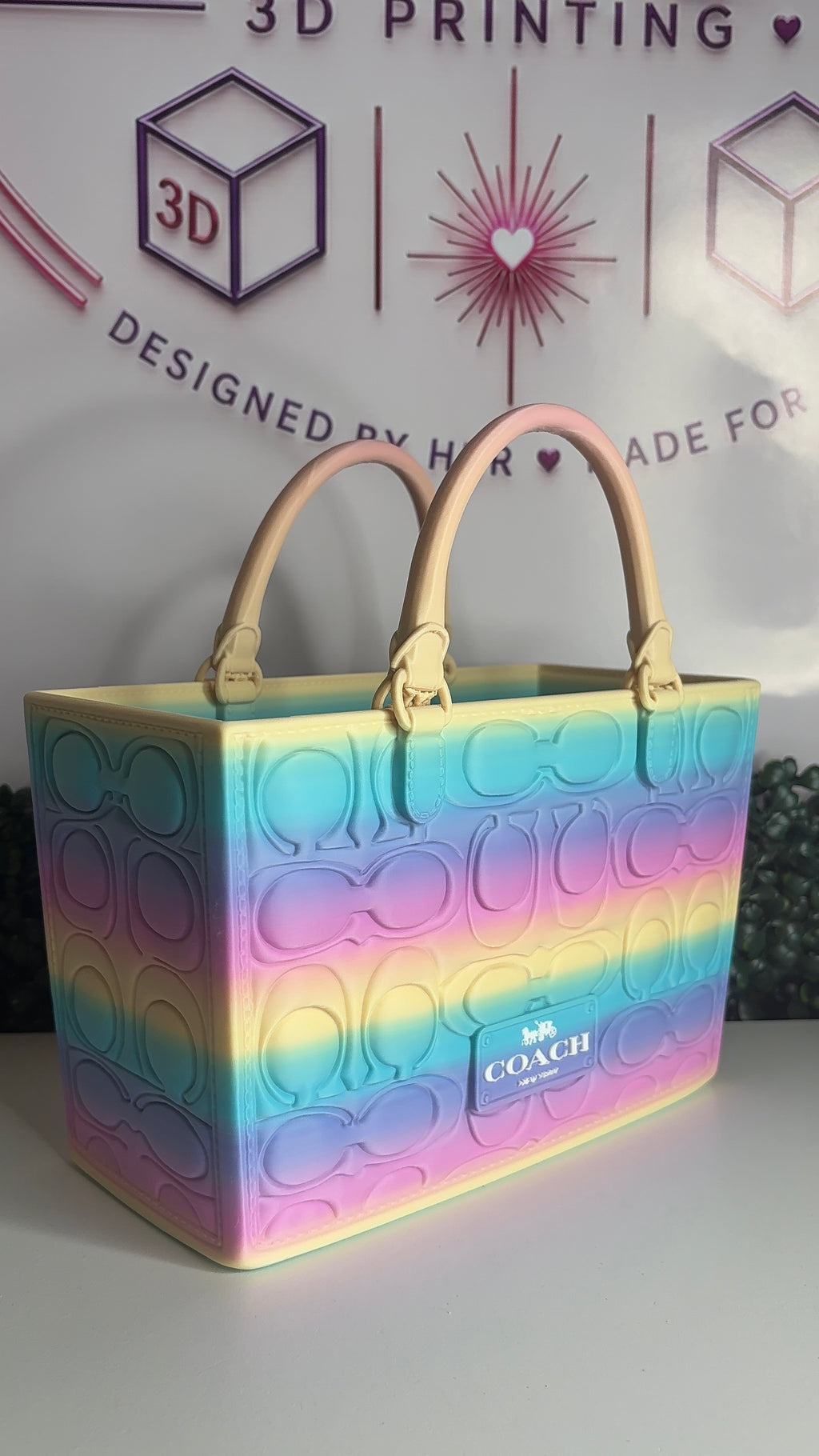 C Inspired Gift Bag