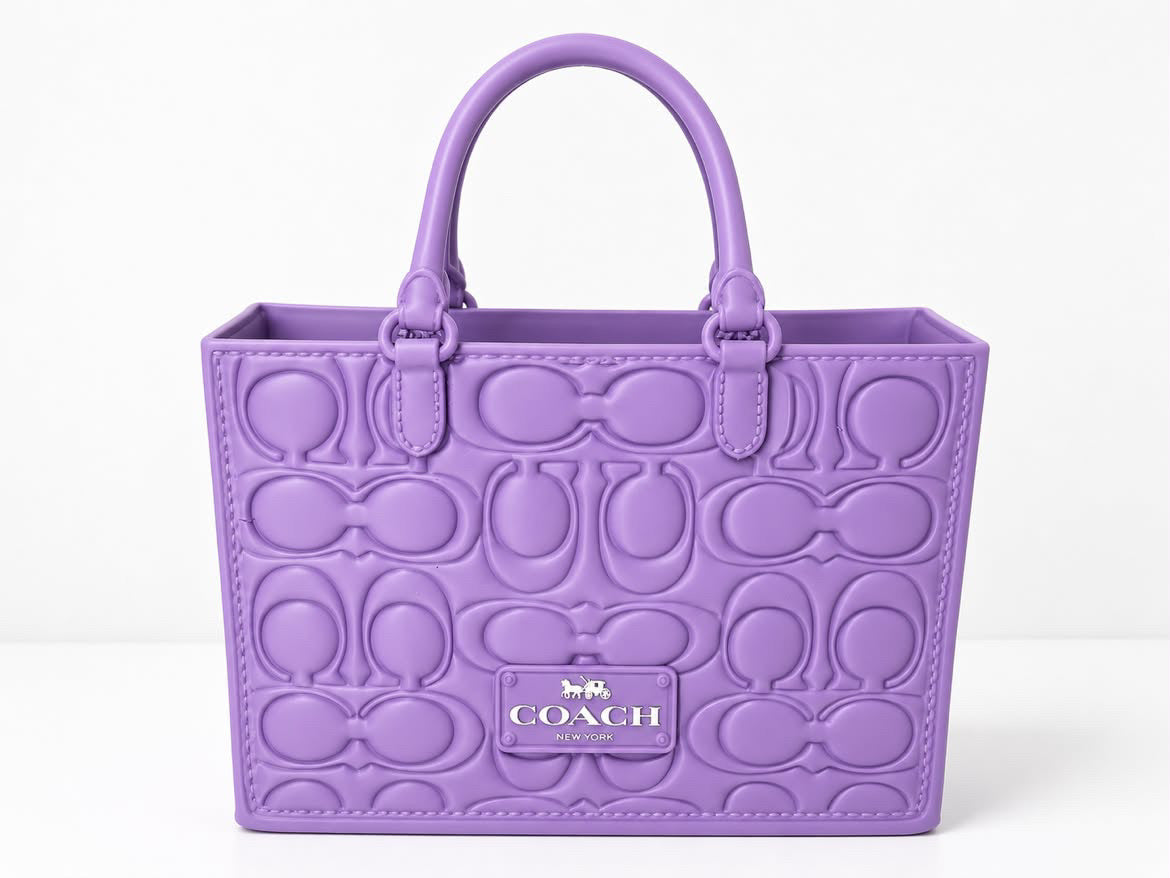Coach Inspired Gift Bag