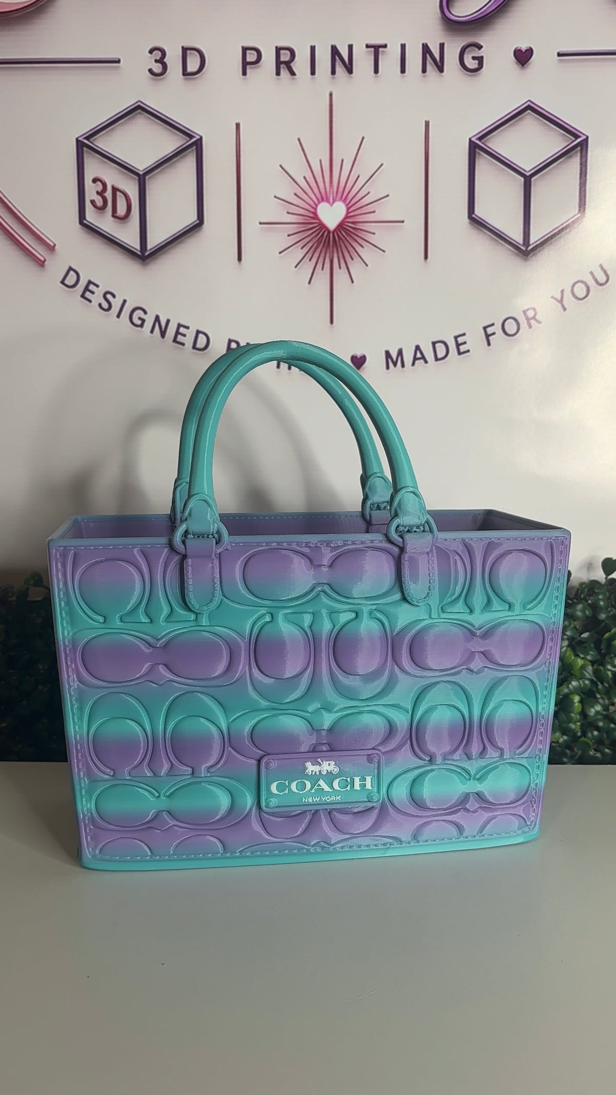 C Inspired Gift Bag