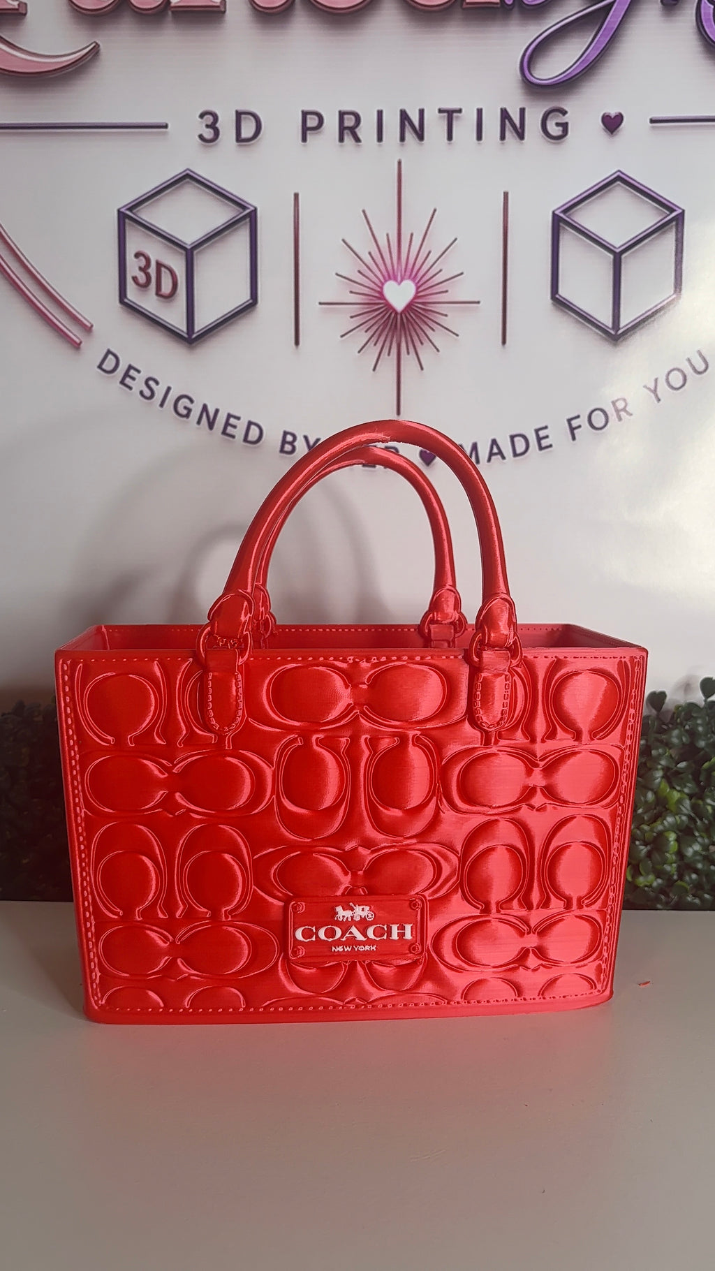 C Inspired Gift Bag